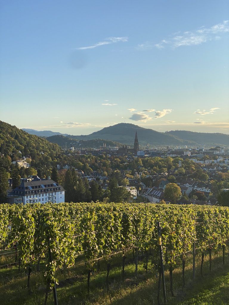 Freiburg im Sommer