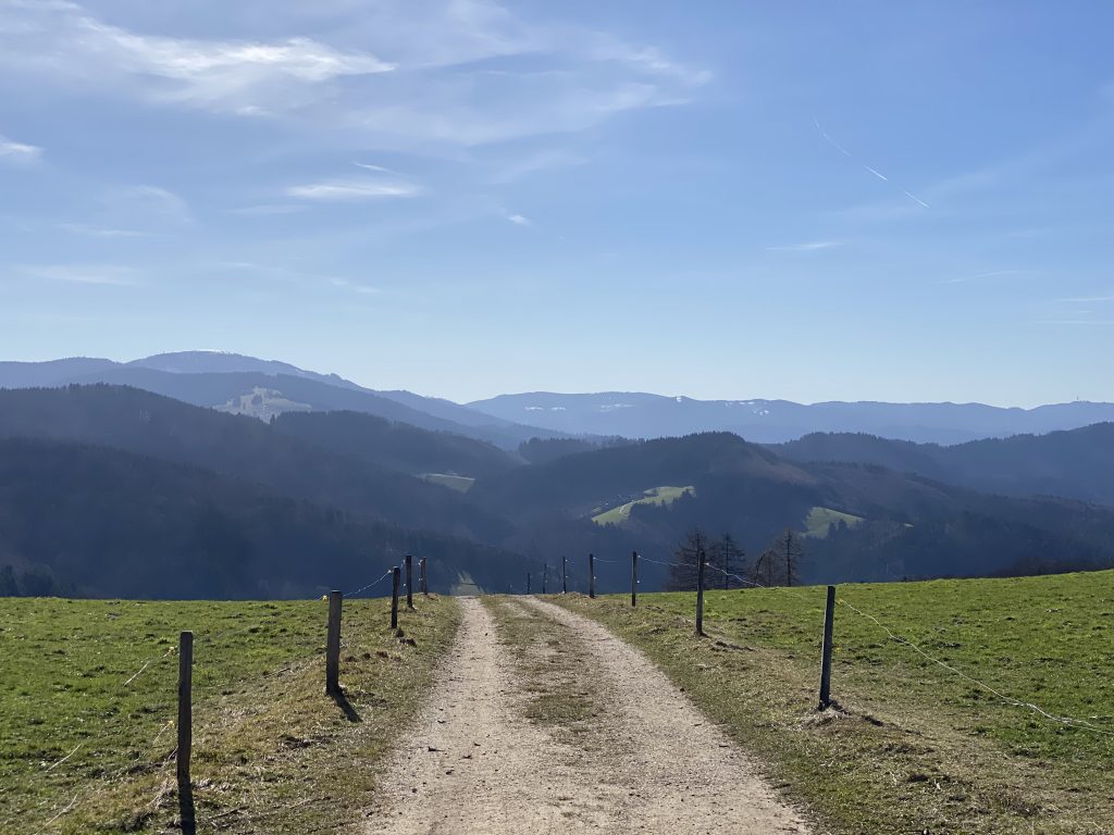 Südschwarzwald