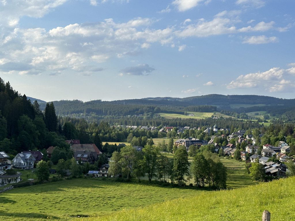 Aussicht auf Hinterzarten im Sommer
